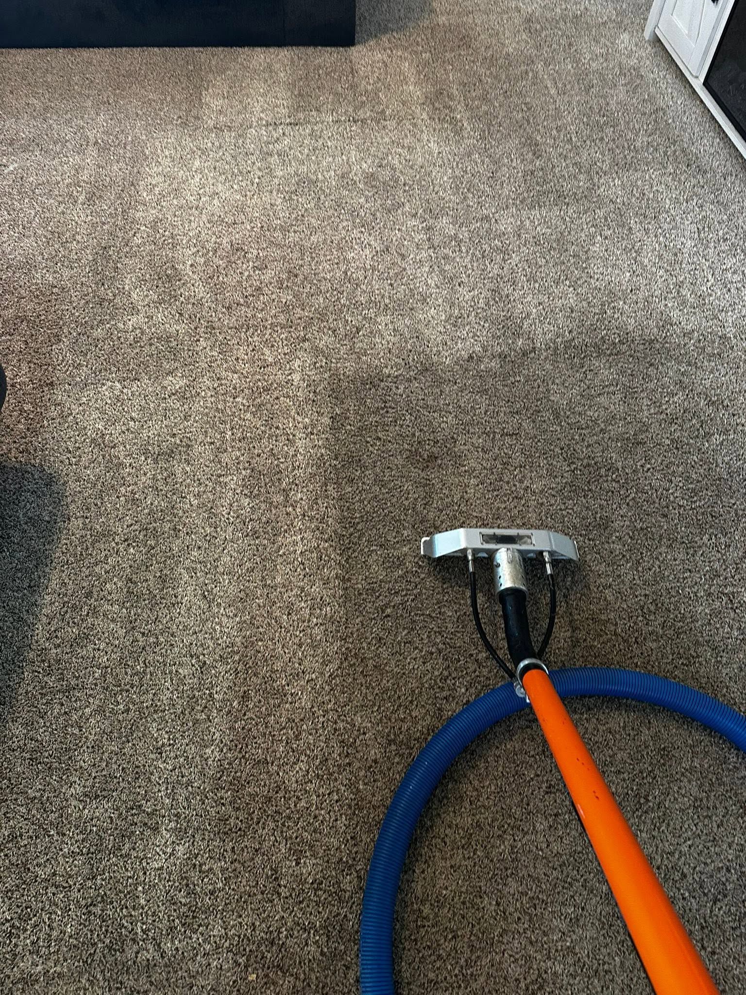 Carpet being cleaned with a blue vacuum nozzle and orange handle on a stair landing.