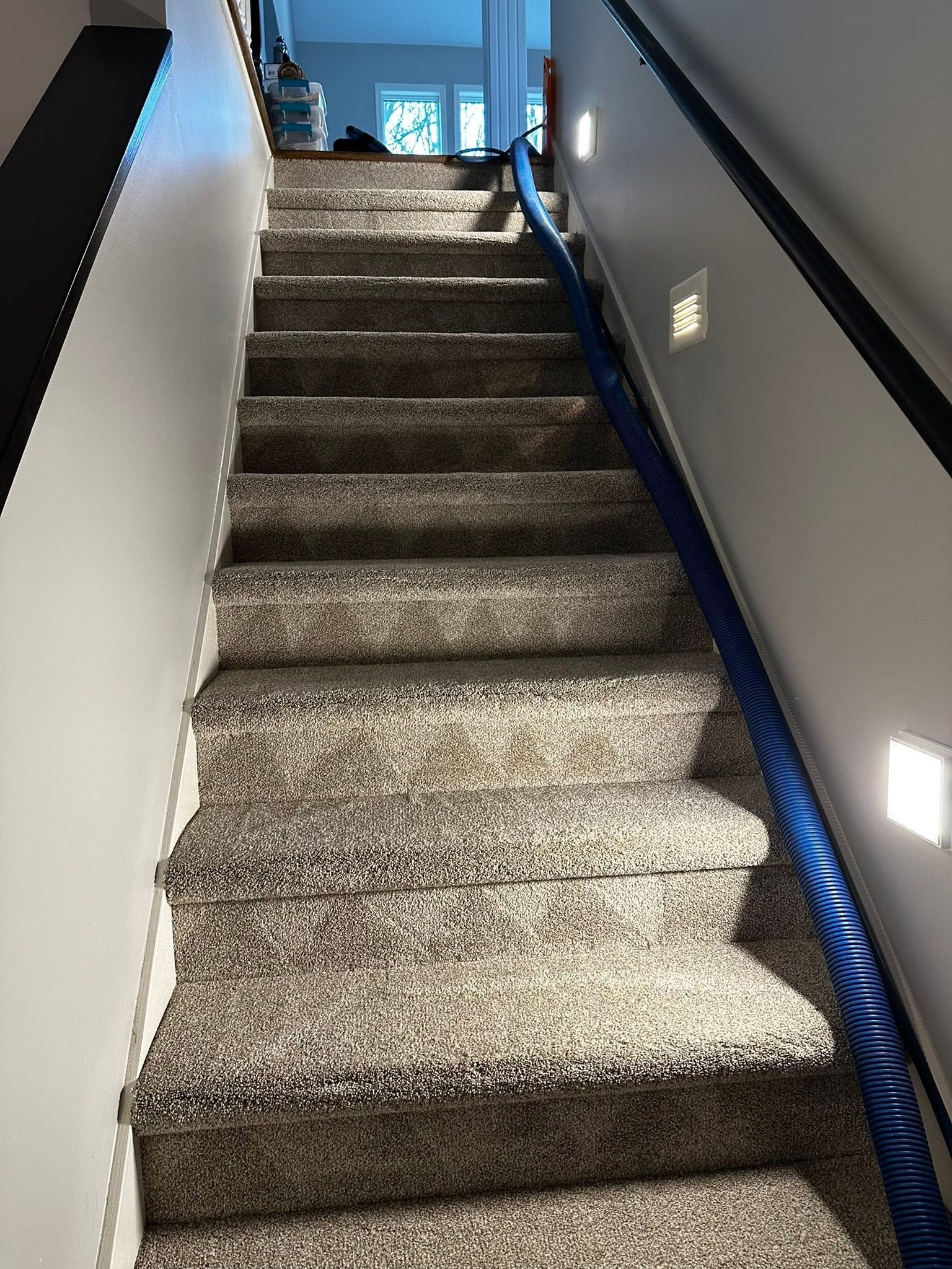 Carpeted staircase with blue handrails, lit from below, leading up to a bright doorway.