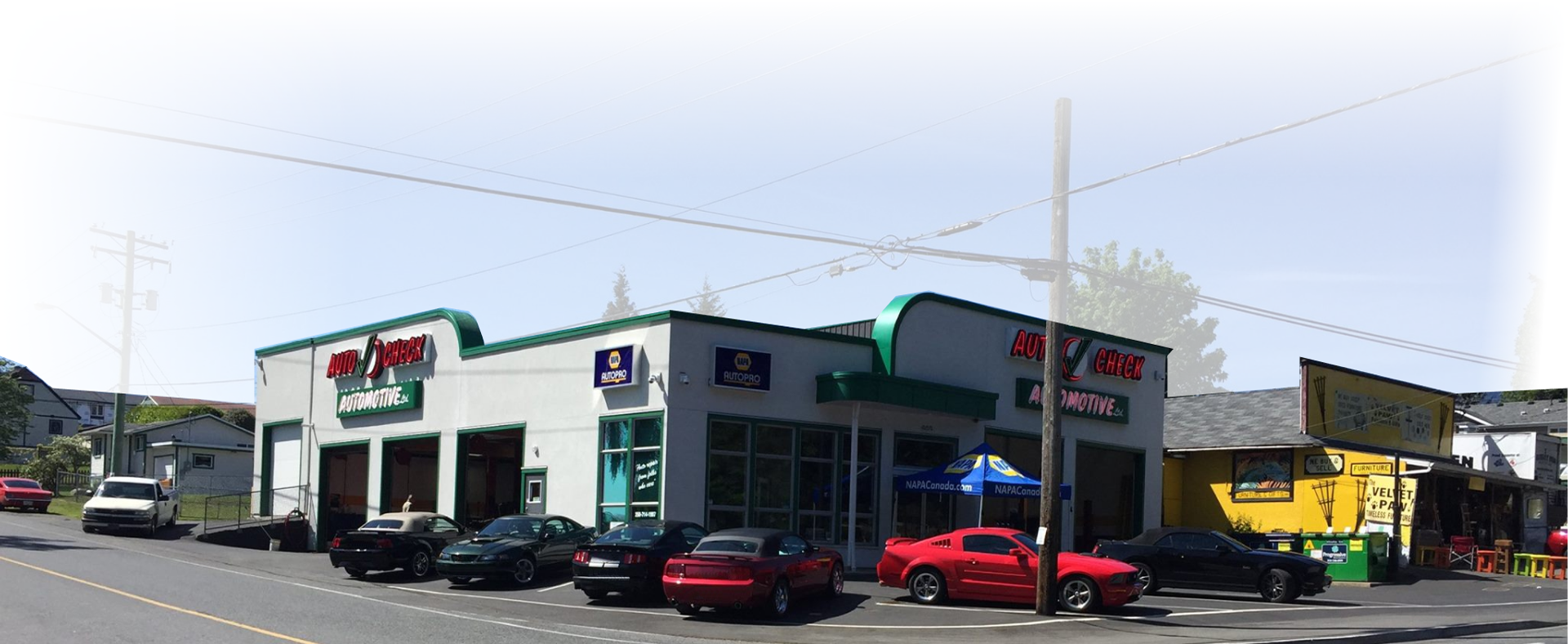 Vehicles We Service and Repair - Auto Check Automotive Ltd.
