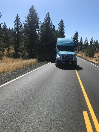 A blue semi-truck is parked on the grassy shoulder of a rural road bordered by pine trees under a clear sky.