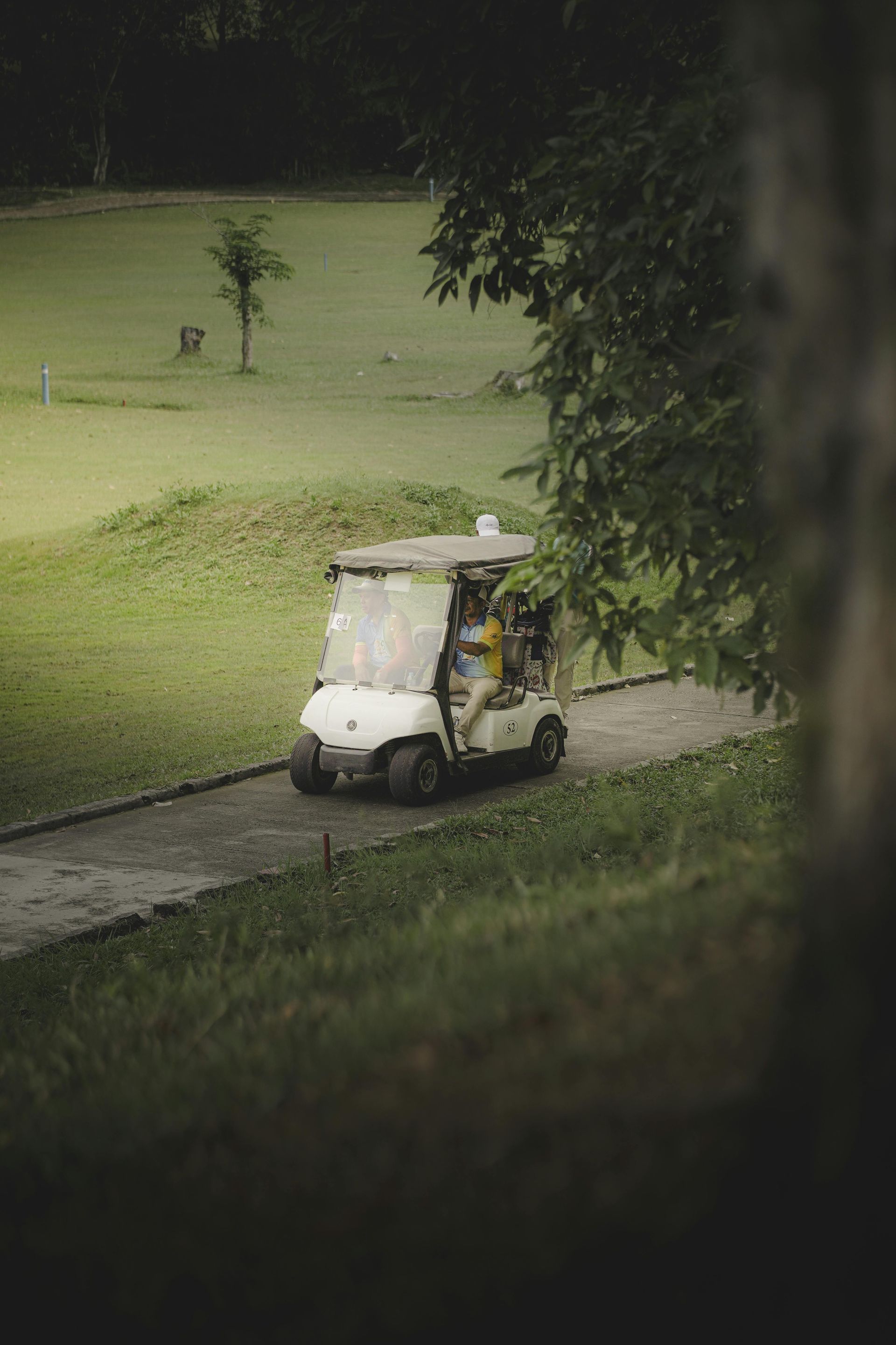 A white golf cart drives along a paved path on a green golf course, viewed past the silhouette of a tree.