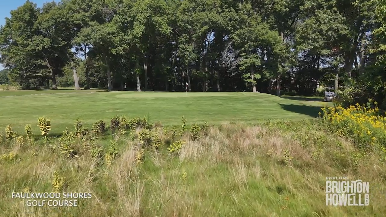 A wide view of a sunny golf green bordered by tall grasses and a dense forest line at Tanglewood Shores Golf Course.