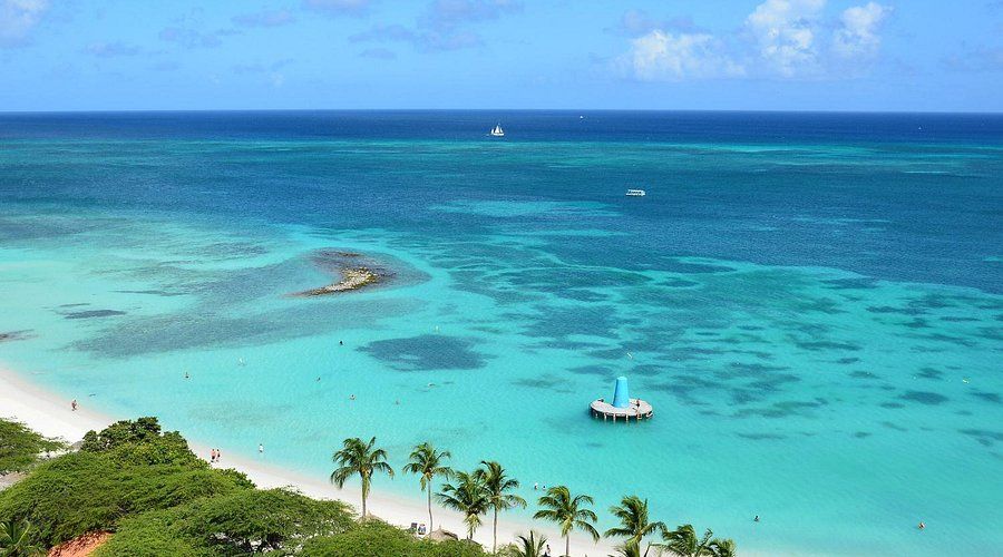 Turquoise ocean view with white sandy beach, palm trees, and small structure in water. Aruba