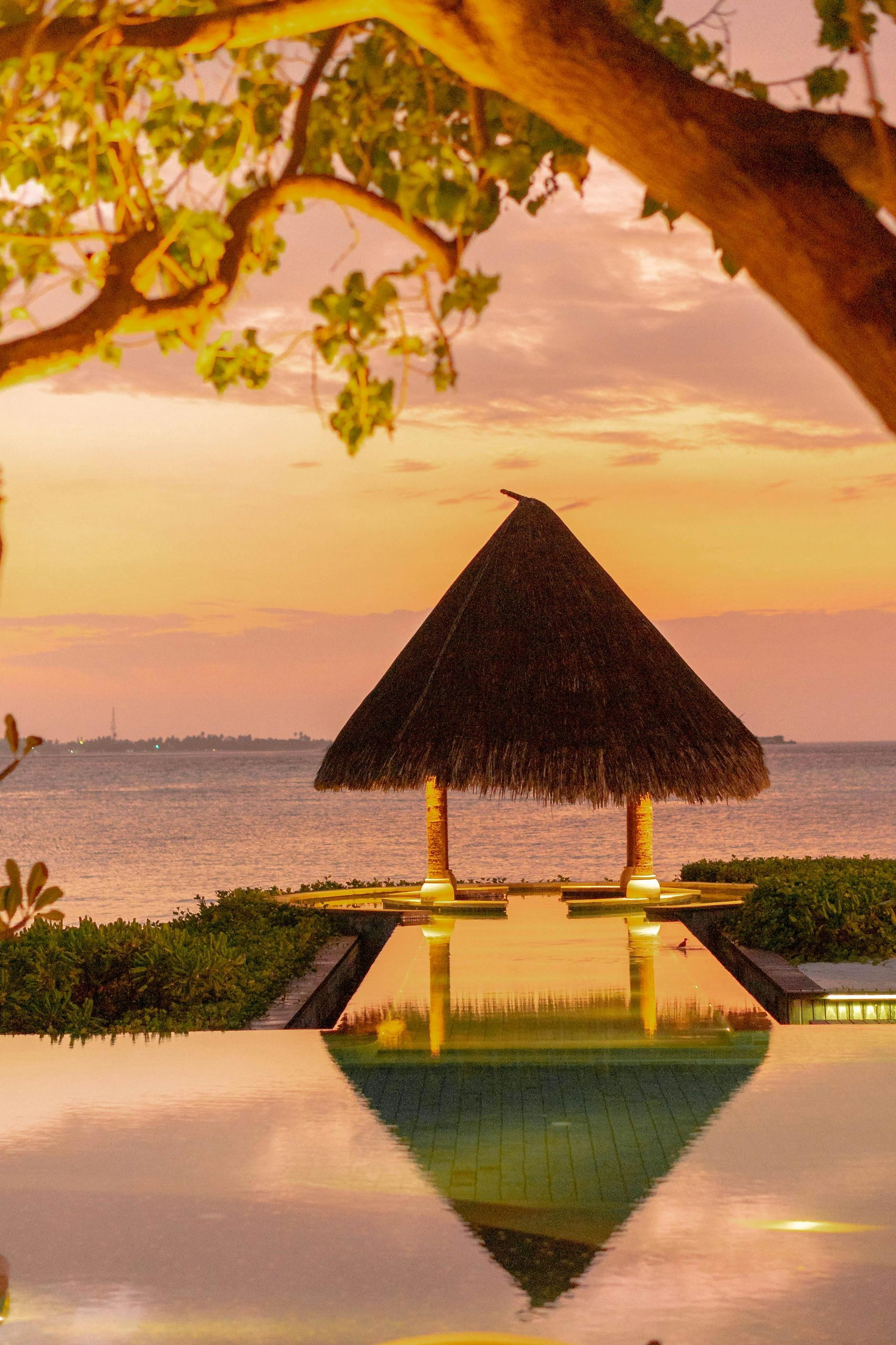 Gazebo with thatched roof reflected in water, ocean sunset, and tree.
