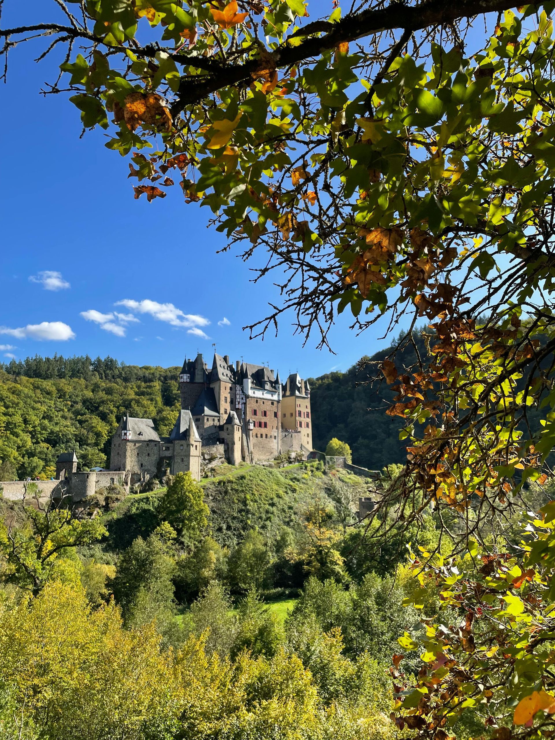 Eltz Castle perched on a wooded hill under a clear blue sky, framed by autumn leaves in the foreground.