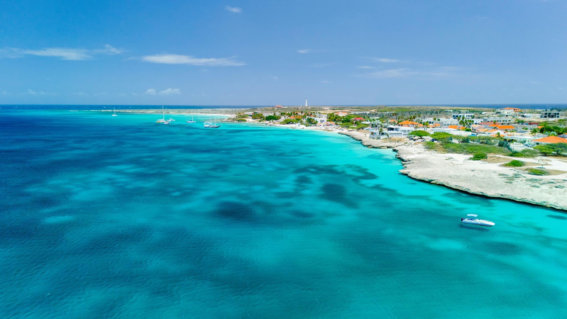 Turquoise water meets a shoreline with buildings under a blue sky. Aruba