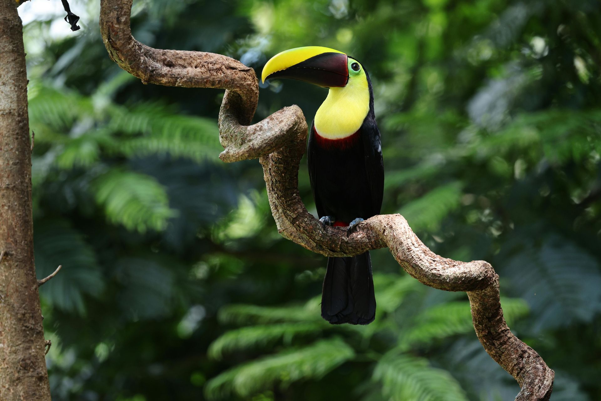 Costa Rica