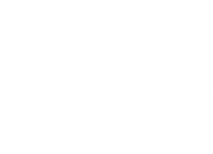 Blank white image