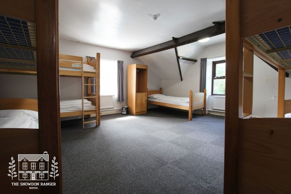 Shared dorm room with bunk beds, single beds, wardrobe, and gray carpet under sloped ceiling.