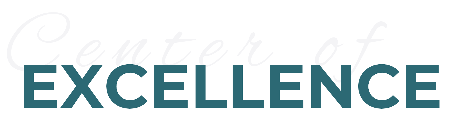 center of excellence text graphic