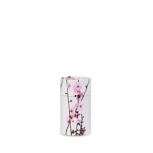 Pink Cherry Blossom Scattering Urn — Little Treasures Pet Cremation in Bells Park, QLD
