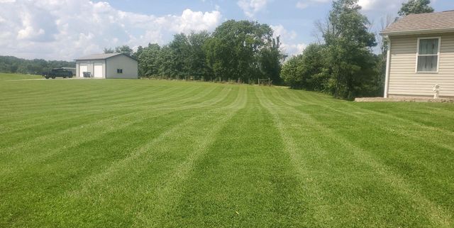 A lush green field with a house in the background.