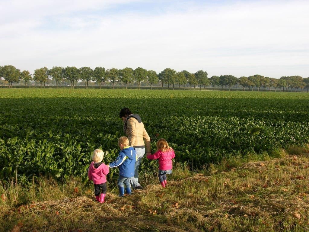 Vier mensen staan op een zonnige dag in een grasveld.