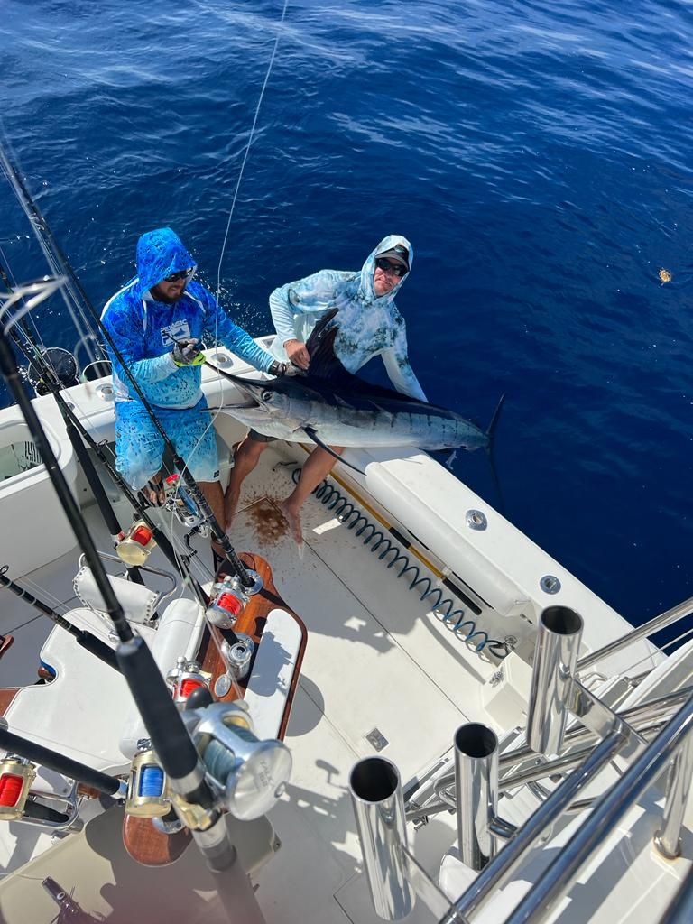 Catch of the Day - Marlin