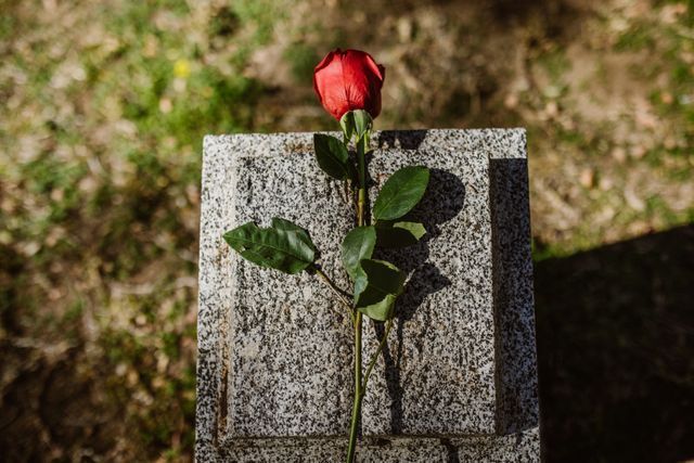 Red rose placed on a memorial stone symbolizing remembrance and compassionate Punta Gorda, FL funeral home and cremations services.