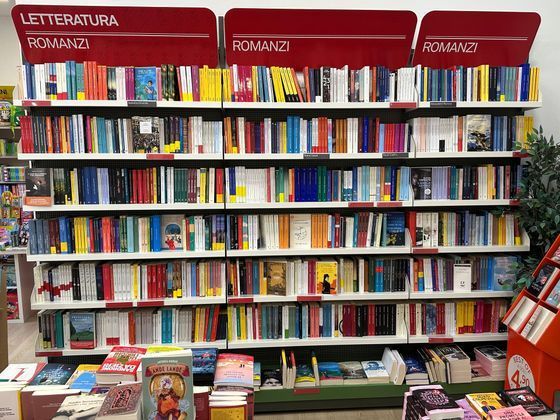 libri di narrativa