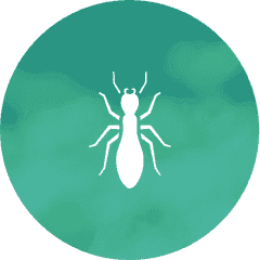 Fumigación y exterminio de insectos