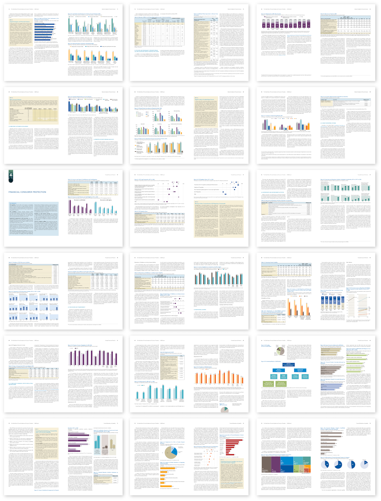 Selection of pages from Financial Inclusion and Consumer Protection report issued by the World Bank Group