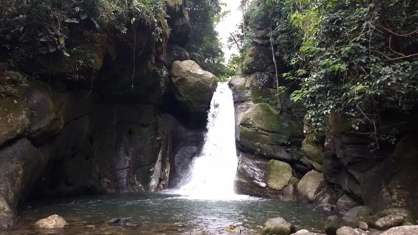 Pequena cachoeira que deságua em uma piscina rochosa na floresta, cercada por pedras escuras e vegetação.