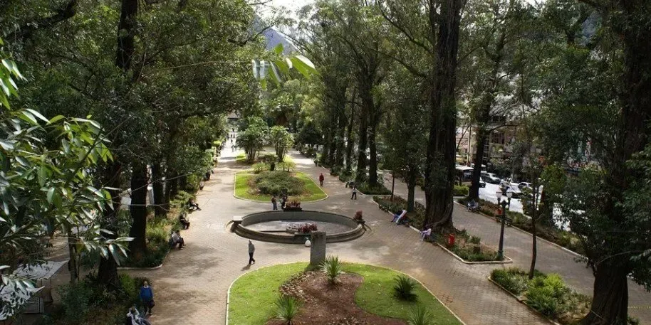 Caminho arborizado do parque com floreiras circulares e bancos, visto de cima.