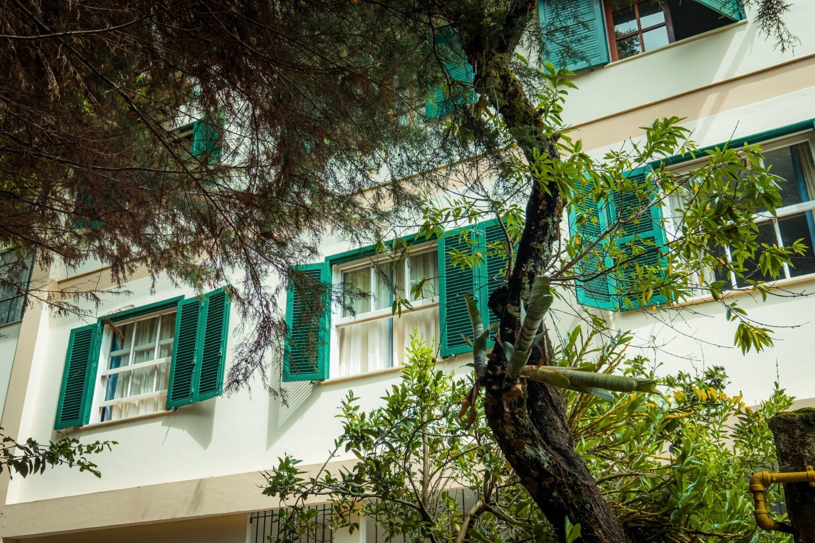 Fachada branca do prédio com persianas verdes e uma árvore em frente.