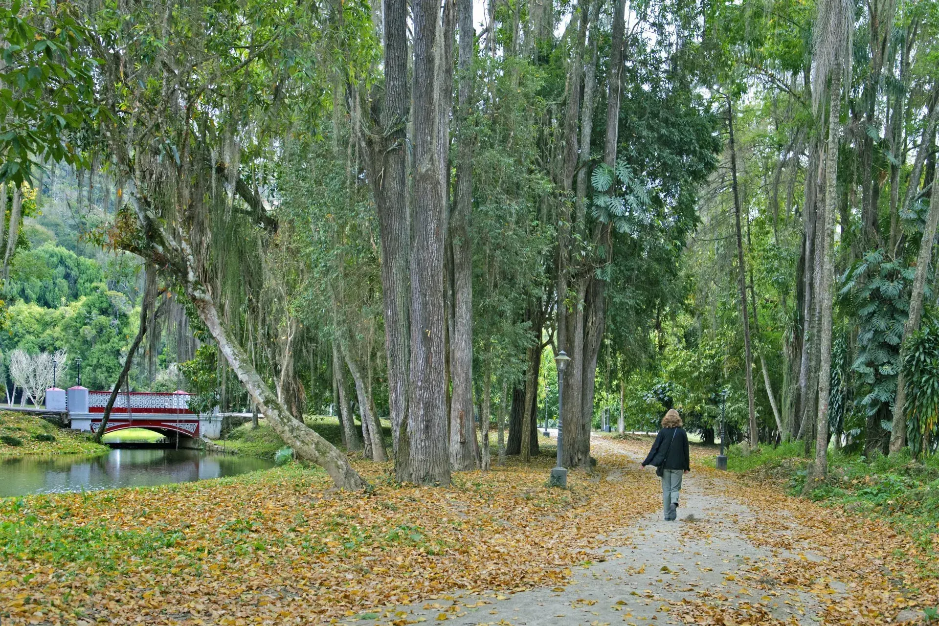 Caminho arborizado no parque com folhas caídas, uma pequena ponte sobre a água e uma pessoa caminhando.