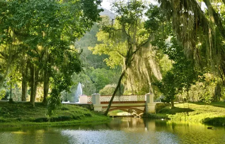 Lago ensolarado no parque com uma pequena ponte em arco, árvores verdejantes e galhos de salgueiro pendentes.