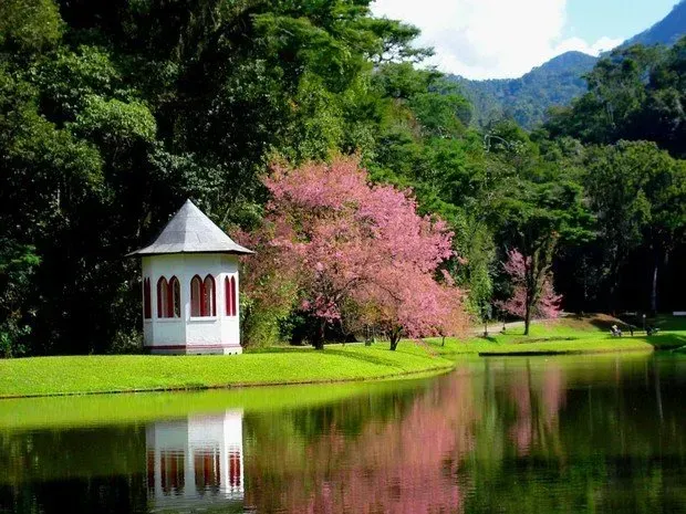 Gazebo branco junto a uma árvore florida rosa, ao lado de um lago tranquilo, com árvores verdejantes e reflexos das montanhas.