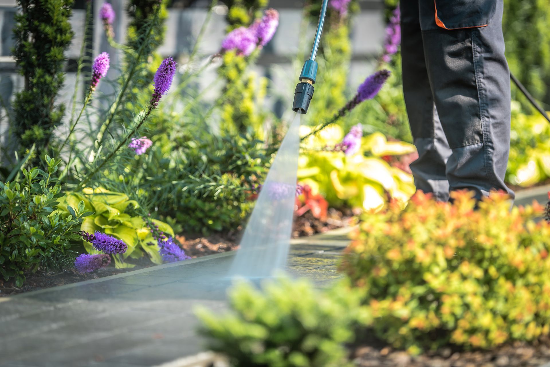 a person is using a high pressure washer to clean a sidewalk in a garden