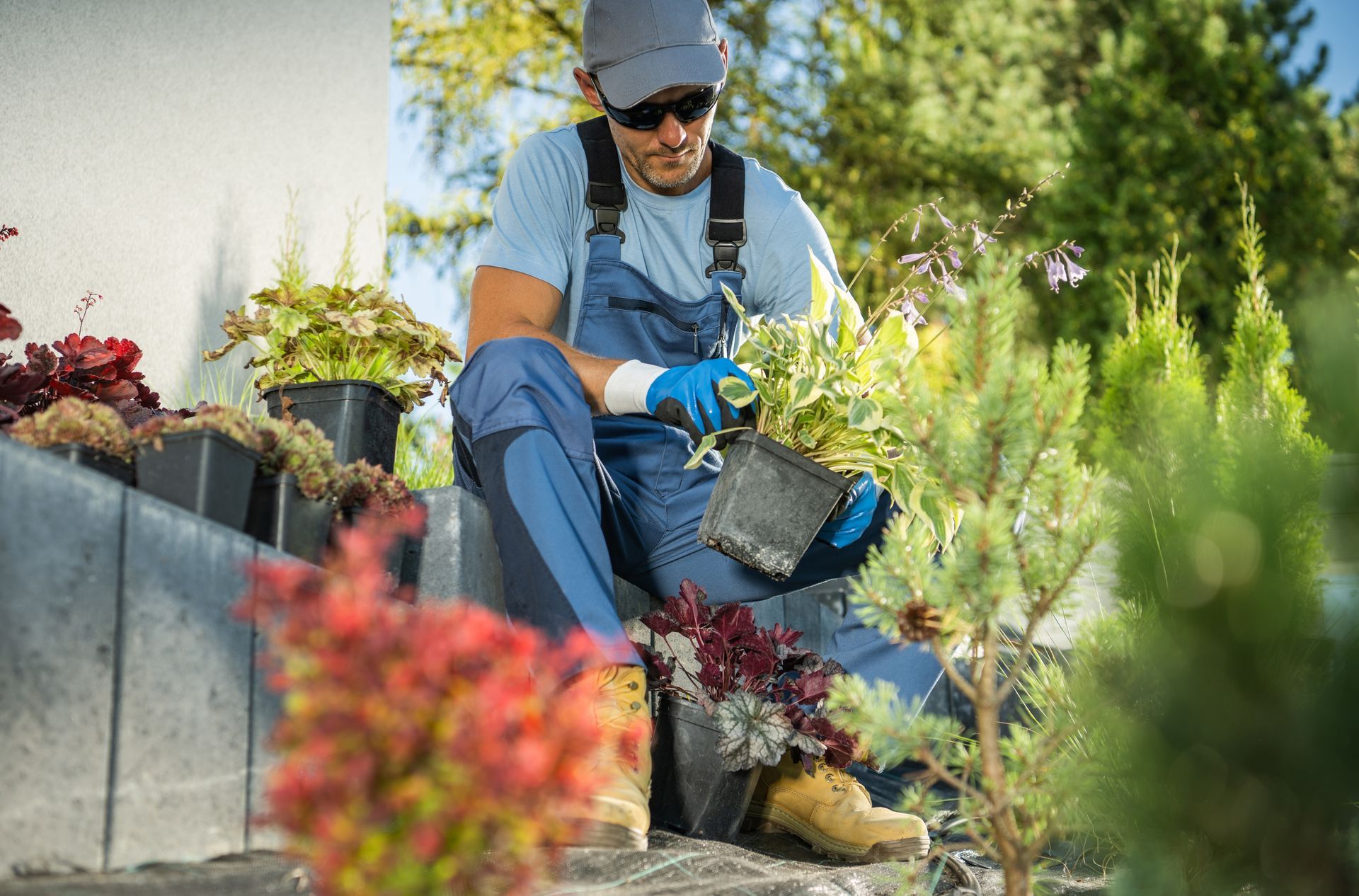 a man is sitting on a rock in a garden cutting plants