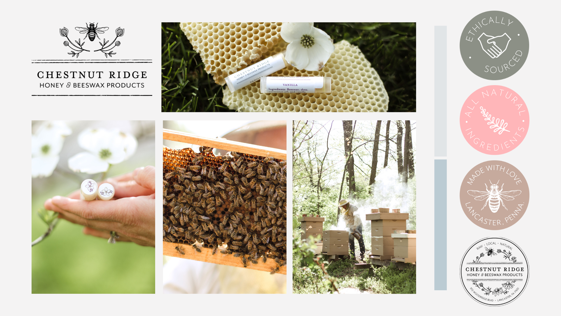 Lancaster, Pa Website Design, Rachel Kline Creative