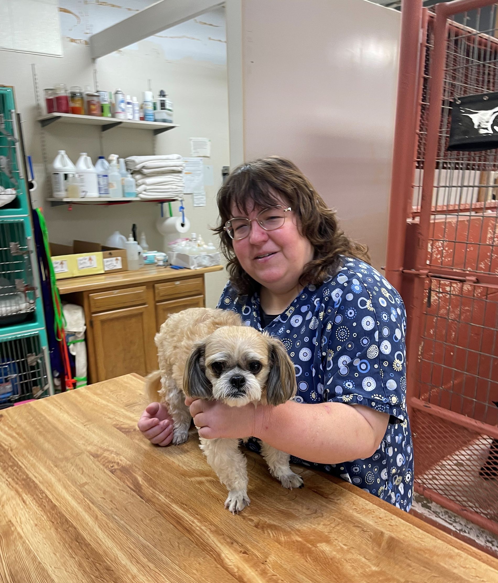 Veterinary hospital kennel tech Ashley holding a Shih Tzu