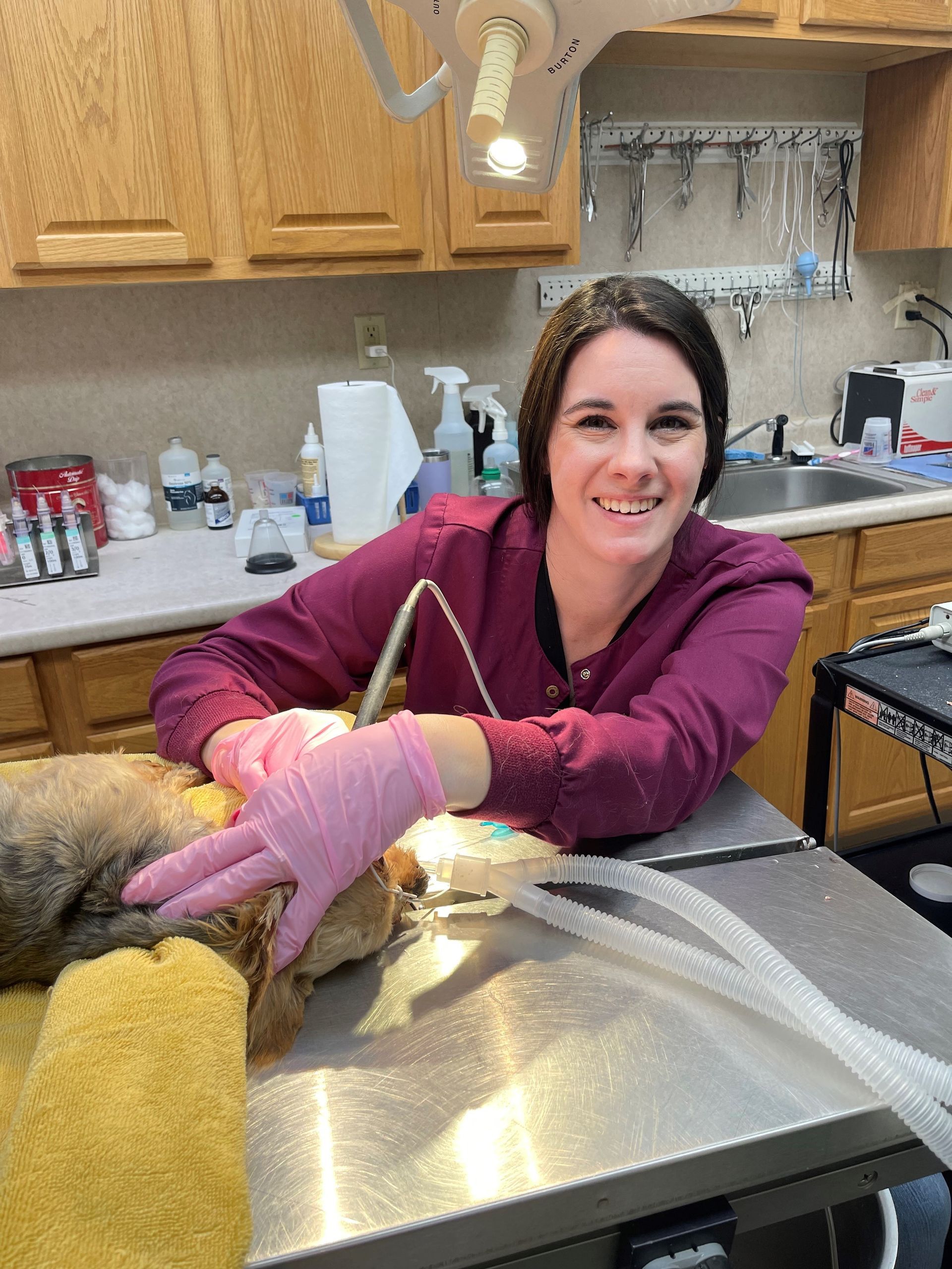 Vet tech Rachael assisting in a surgical procedure