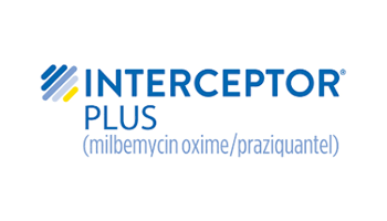 Interceptor Plus Logo
