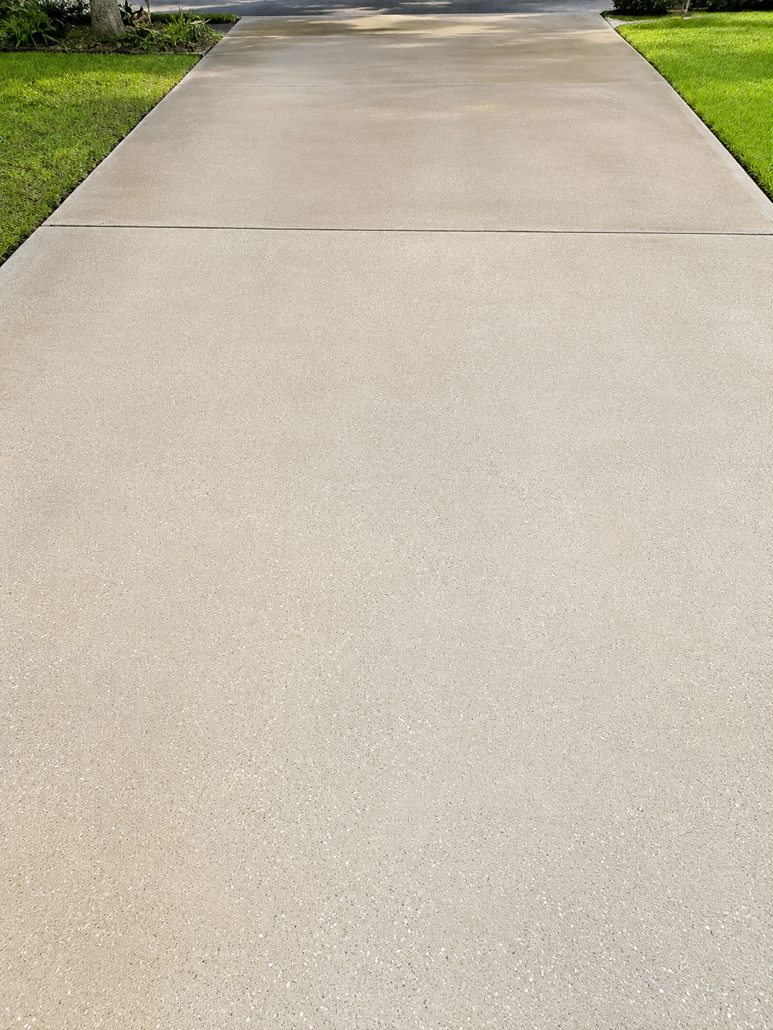Concrete sidewalk path bordered by green grass on both sides