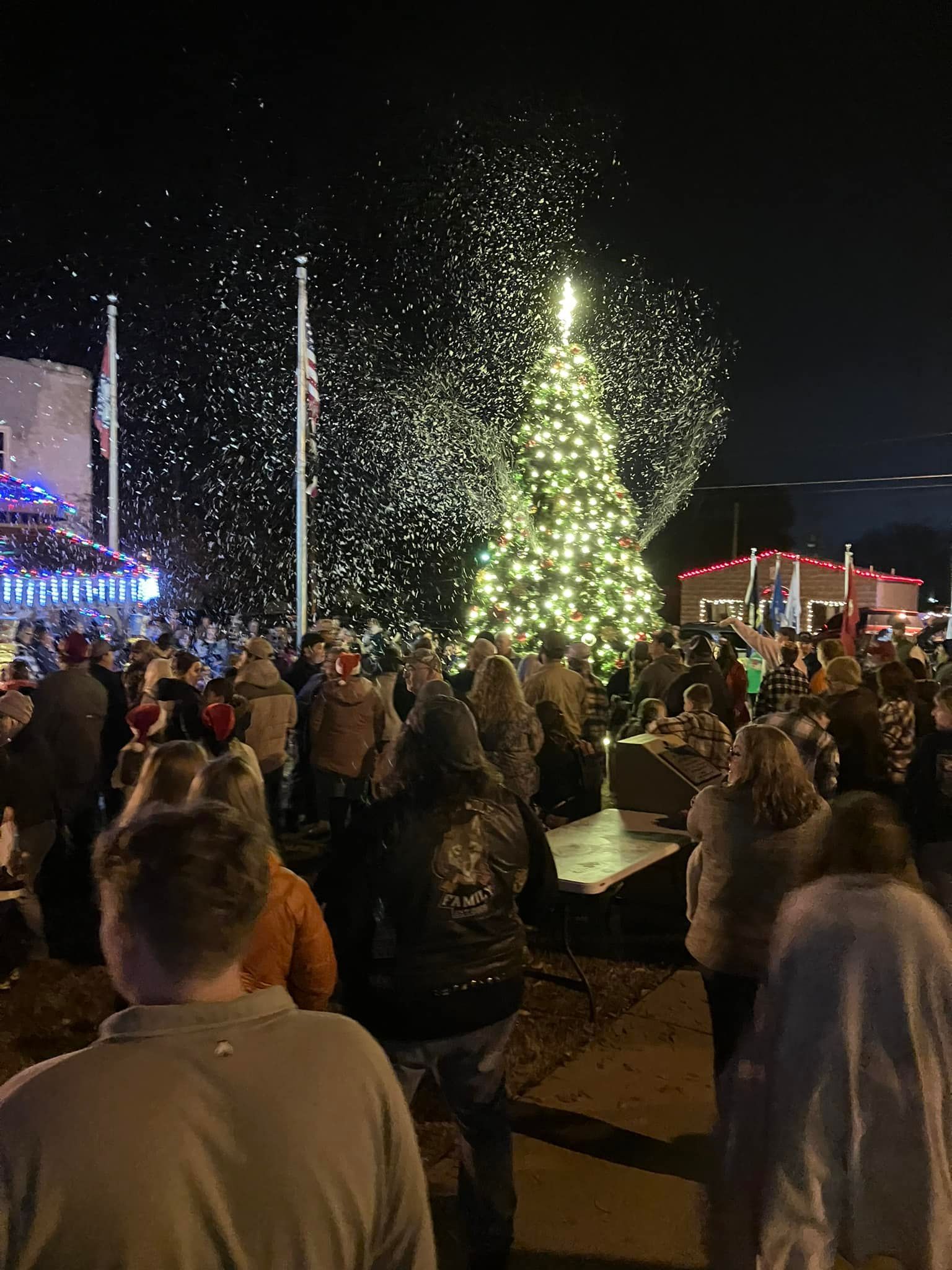 A crowd of people are standing around a christmas tree at night.
