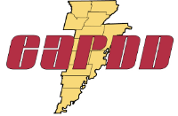 A red and yellow logo with a lightning bolt and the word cargo.
