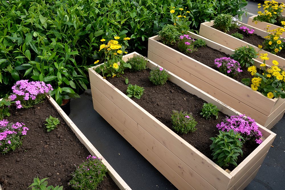 Wooden rectangular planters filled with various colorful flowers and dark soil.