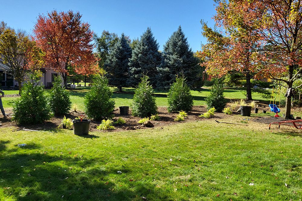 Lush green lawn with a row of evergreen trees and colorful fall trees in the background. Sunny day.