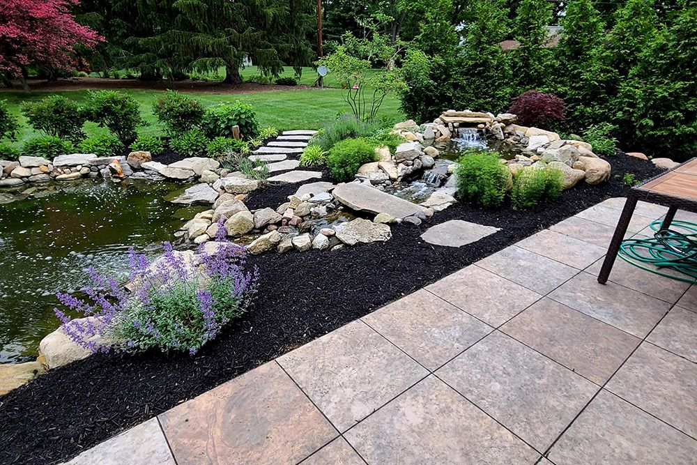 Backyard with a pond and waterfall feature. Black mulch borders stone patio and plants.