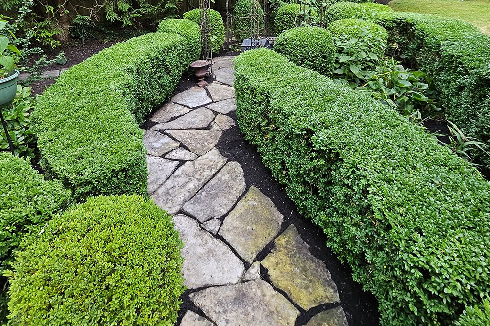 Stone path winds through manicured green hedges in a garden.