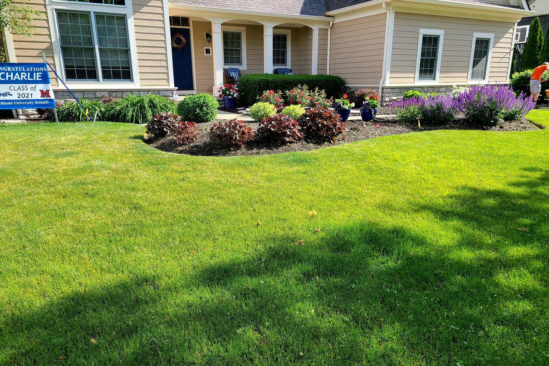 A well-manicured front lawn with flowerbeds in front of a tan house. Green grass, various colorful plants.