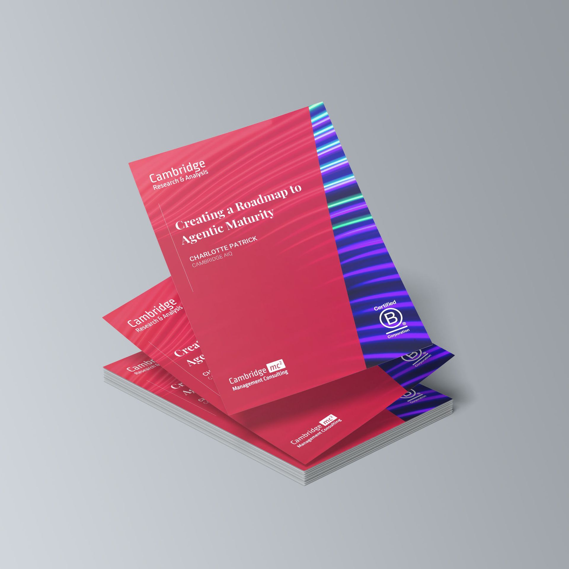 Mock up of this report as stack of brochures in mid-air.