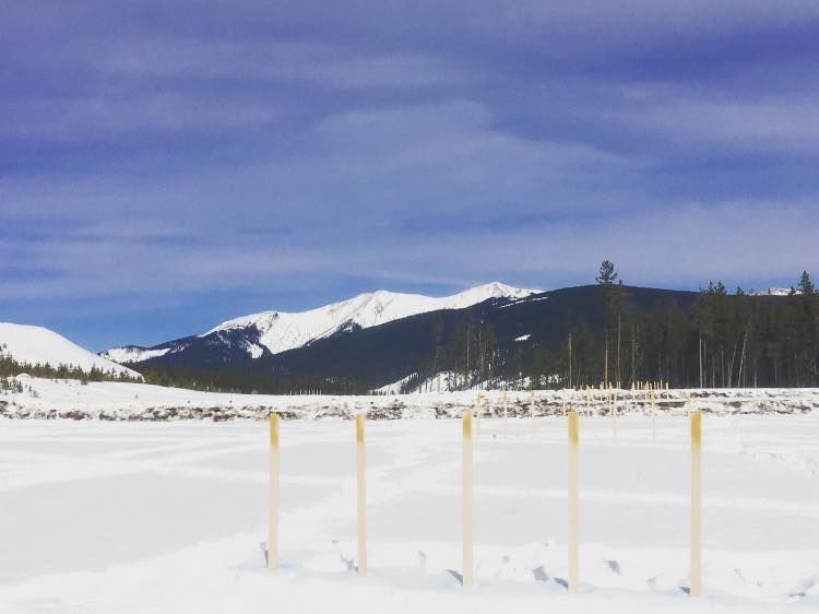 A row of five upright stakes stands in a snowy, vast field before a backdrop of dark, pine-covered and snow-capped mountains.