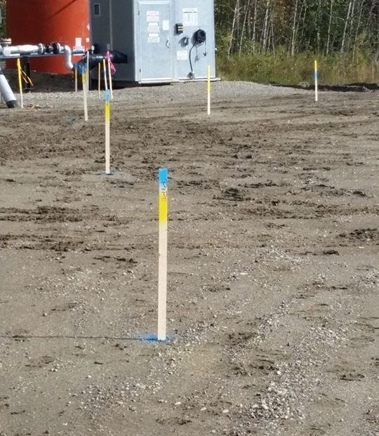 A dirt construction site features several wooden survey stakes with blue-and-yellow-painted tops placed in a line.
