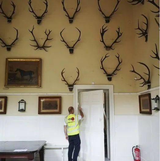 Verus Group fire safety worker in a heritage room with mounted antlers