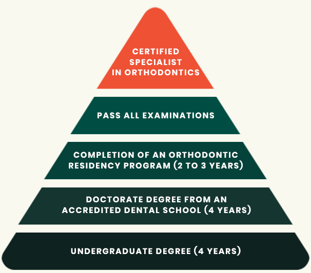 Pyramid diagram of orthodontist training steps from undergraduate degree to certified specialist.