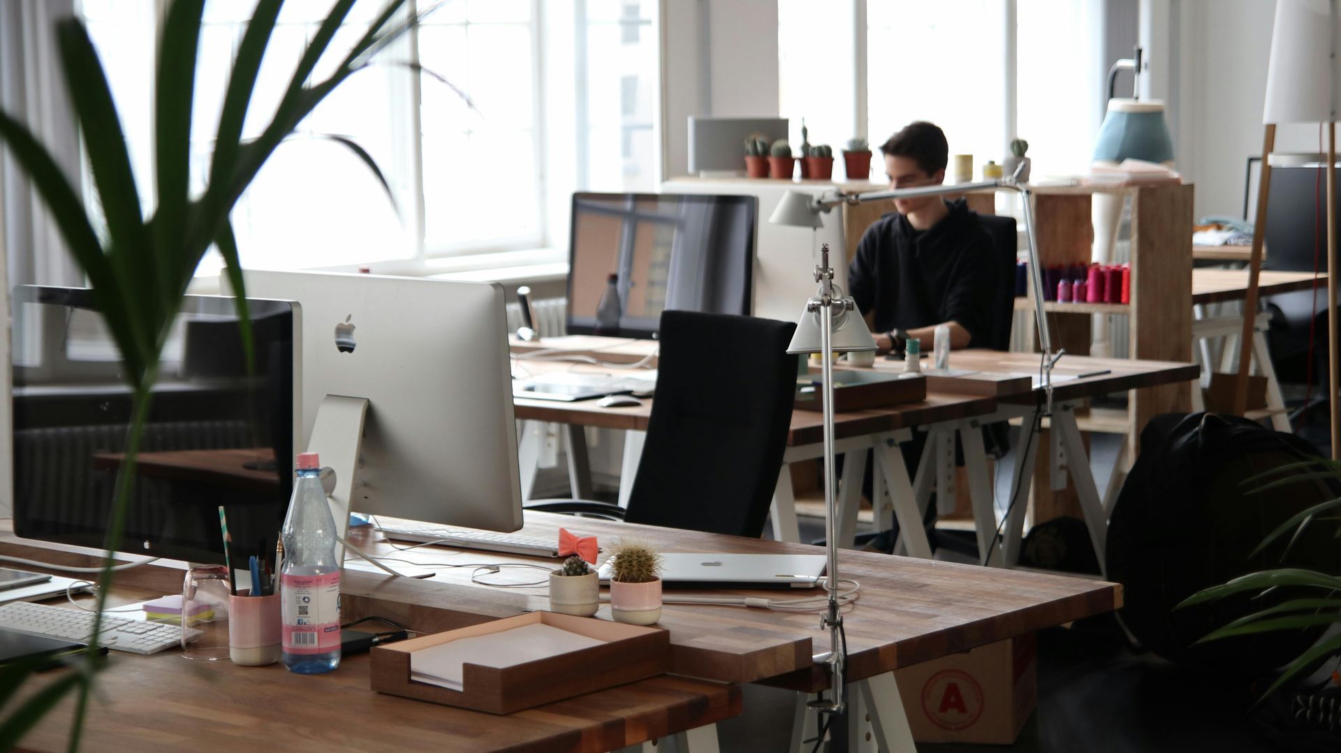 Person working at a desk in a modern office, surrounded by computers, plants, and supplies.