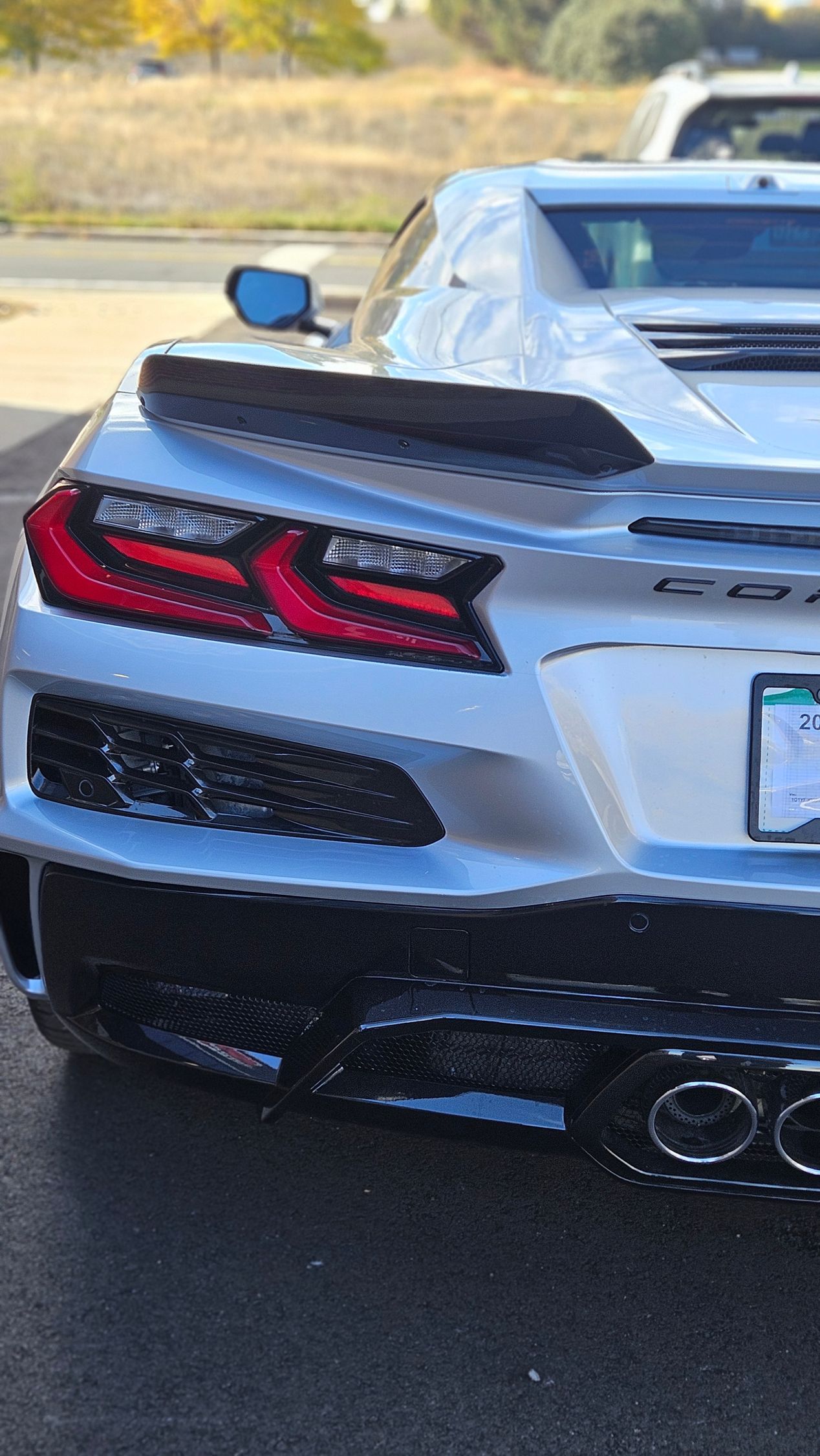 Silver sports car's rear, taillights on, black spoiler and accents. Outdoor setting, license plate visible.
