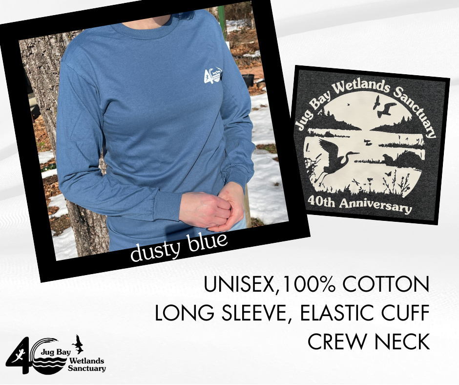 Dusty blue long-sleeve crew neck shirt with elastic cuffs and Bay Wetlands Sanctuary 40th anniversary logo.